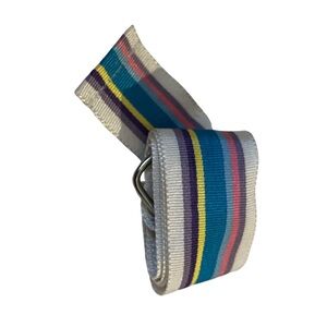 Multi Colored Striped Ribbon Belt